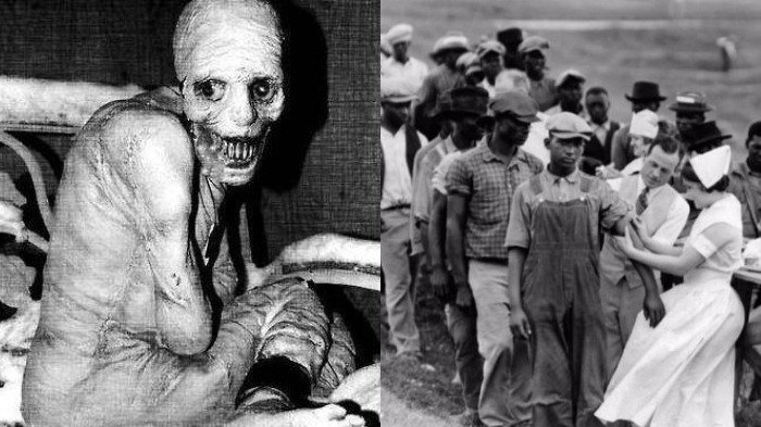 7 Penemuan Super Aneh dan Gila yang Pernah Diciptakan Peneliti, Satunya Embrio Manusia dan Babi