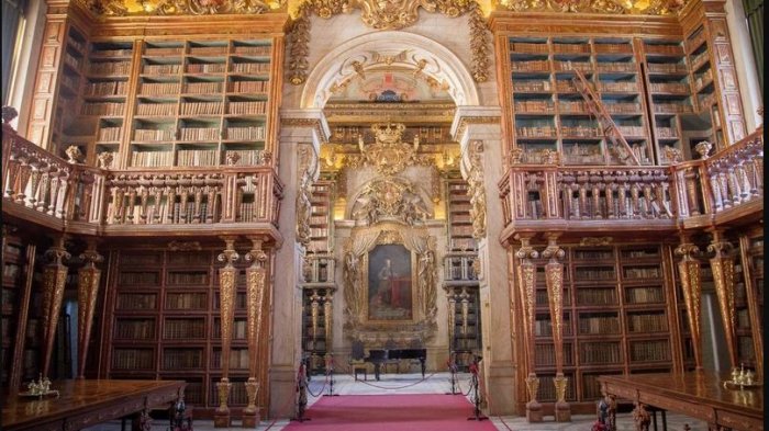 Bukan Dibasmi, Perpustakaan di Portugal 'Pelihara' Kelelawar untuk Lindungi Koleksi Bukunya