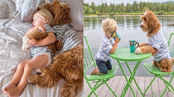 Viral Medsos - So Sweet! Begini Persahabatan Bocah Yatim Piatu dengan Anjing Ini yang Buat Terharu