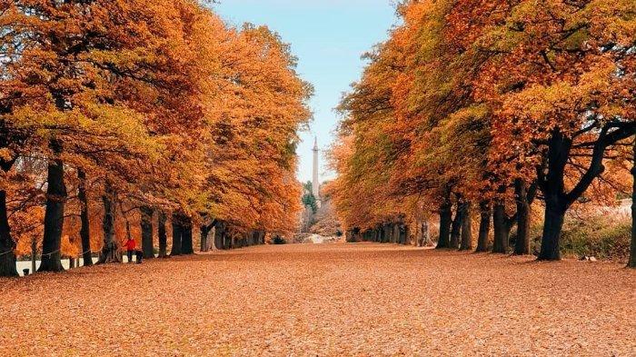 6 Pesona Musim Gugur di Inggris Raya yang Bisa Dinikmati Wisatawan