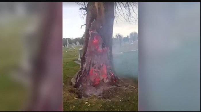 Pohon di Kuburan Ini yang Terbakar Hanya Bagian Dalam, Penyebabnya Bikin Ogah Berteduh Lagi