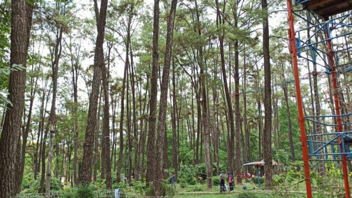 Taman Wisata Alam Punti Kayu Palembang: Lokasi, Daya Tarik, Harga Tiket Masuk, dan Jam Buka