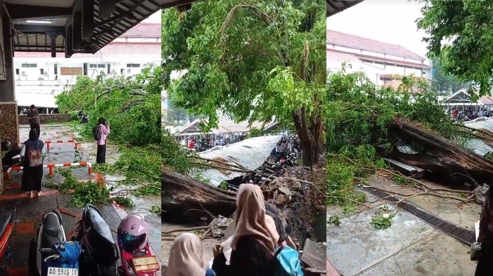Video Viral di TikTok, Pohon Tumbang Timpa Parkiran di UMS dan Bikin Puluhan Motor Hancur