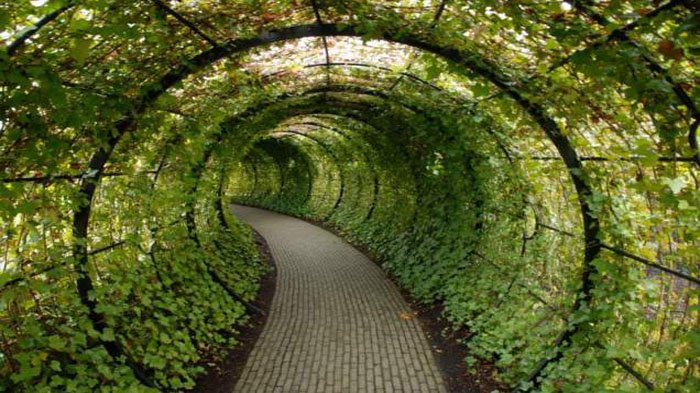 Terlihat seperti Taman Indah, Poison Garden Simpan Ratusan Tanaman Beracun yang Siap Merengut Nyawa