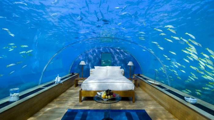 Poseidon Undersea Resort - Berada di Kedalaman 12 Meter, Inilah Resor Bawah Air Pertama di Dunia