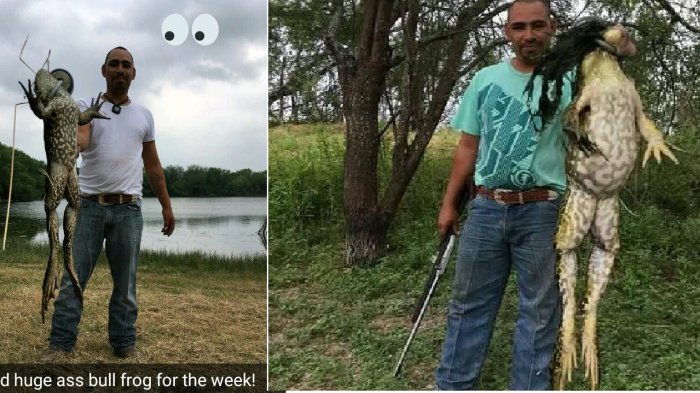 Pria Ini Bikin Heboh Dunia Maya dengan Foto-foto Tangkapannya, Benarkah Katak Raksasa?