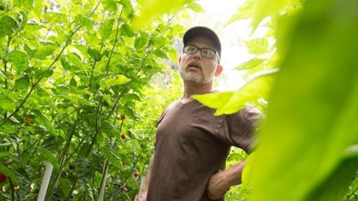 Dahsyat! Pria Ini Coba Ciptakan Cabai Terpedas di Dunia Melebihi Carolina Reaper