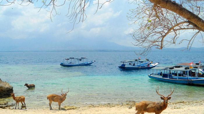 Open Trip - Nikmati Surga Diving di Bali dan Blue Fire Satu-satunya di Indonesia, Cuma Rp 900 Ribuan