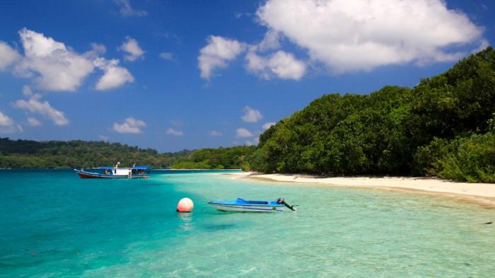 Pulau Peucang Ujung Kulon - Beragam Satwa, Hutan Hujan, Hingga Air Terjun Bisa Kamu Temukan di Sini