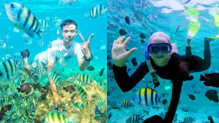 Mengintip Beragam Jenis Ikan Tropis di Pulau Rubiah, Taman Bawah Laut di Ujung Barat Indonesia