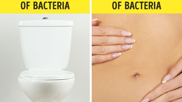 9 Fakta Dunia yang Jarang Diketahui, Pusar Jadi Pusat Bakteri yang Lebih Banyak Ketimbang Toilet
