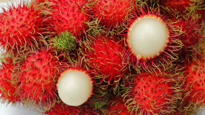 Diklaim Sebagai Superfood, Inilah 10 Manfaat Istimewa di Balik Rasa Manis dan Segar Rambutan