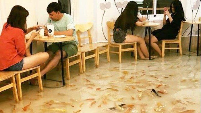 Viral di Medsos, Restoran di Vietnam Dipenuhi Ikan Mas Koki yang Berenang di Kaki Pengunjung