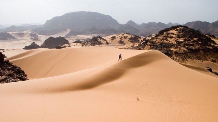 Percaya atau Tidak, Sahara yang Dikenal Miliki Suhu dan Curah Hujan Ekstrem Ternyata Dulunya . . .