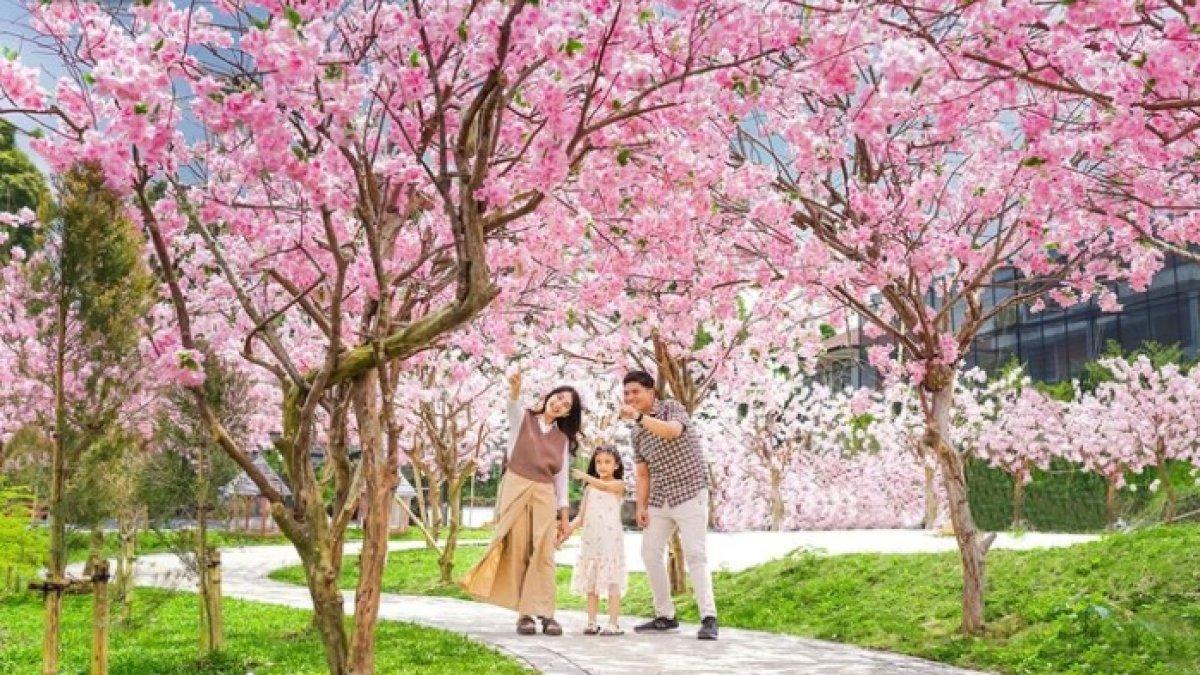 Harga Tiket Masuk Minimania Lembang 2023, Tempat Wisata Baru dengan Spot Taman Sakura Ala Jepang