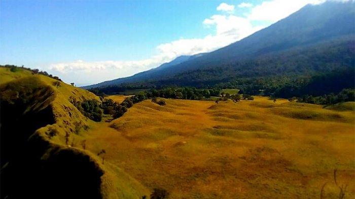 Mulai Hari Ini, Savana Propok Akan Ditutup Akibat Pelanggaran Protokol Kesehatan