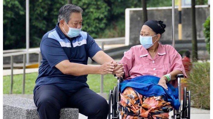 Mengenal Kanker Darah, Penyakit yang Pernah Dihadapi (Alm) Ani Yudhoyono