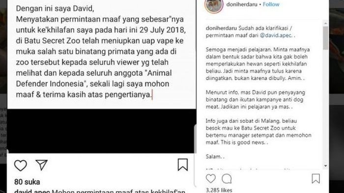 5 Fakta Seputar Ulah Pengunjung yang Menyeburkan Asap Vape ke Wajah Monyet di Batu Secret Park Zoo