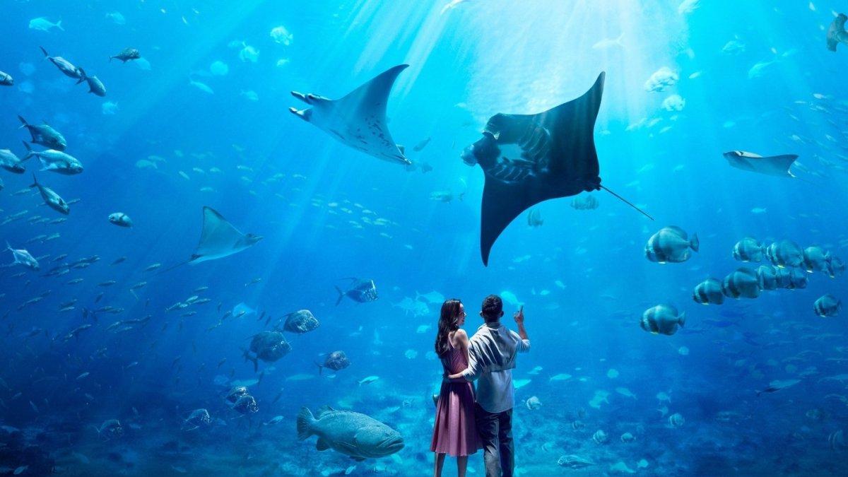 SEA Aquarium di Singapura.
