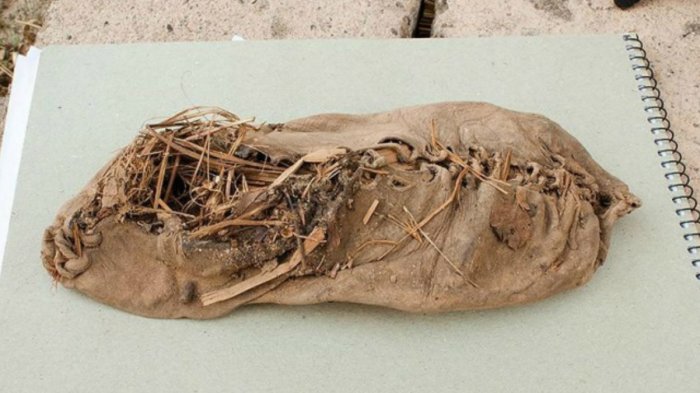 Permen Karet Hingga Sepatu, Ini 7 Perangkat Modern yang Sudah ada Sejak Puluhan Ribuan Tahun Lalu