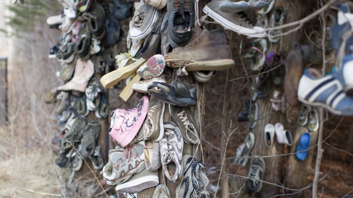 Bukan Bunga atau Buah, Pepohonan di Hutan Kanada Malah Digantungi Sepatu