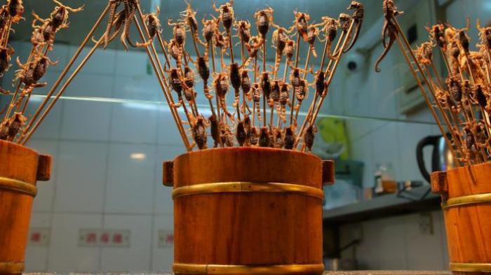 Kuliner Ekstrem - 7 Serangga Ini Bisa Diolah Jadi Makanan, Ada yang Dipercaya Jadi Obat Jantung Lho