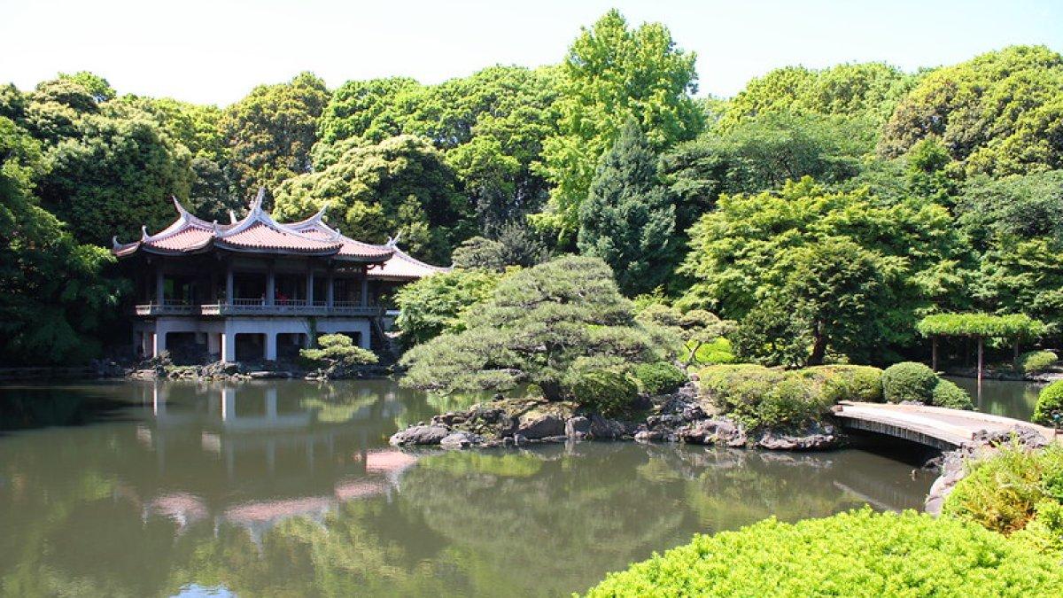 Shinjuku Gyoen National Garden, satu tempat wisata hits di Jepang yang wajib dikunjungi.