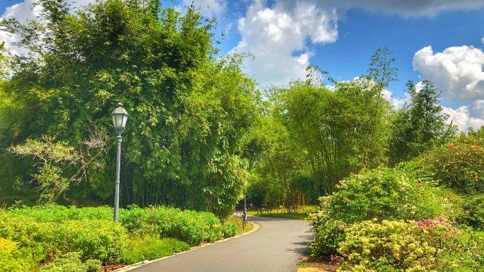 Singapore Botanic Gardens, satu tempat wisata gratis di Singapura