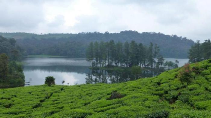 Situ Patenggang Ciwidey - Berlibur Ke Sini Bisa Buat Hubunganmu dan Pasangan Langgeng