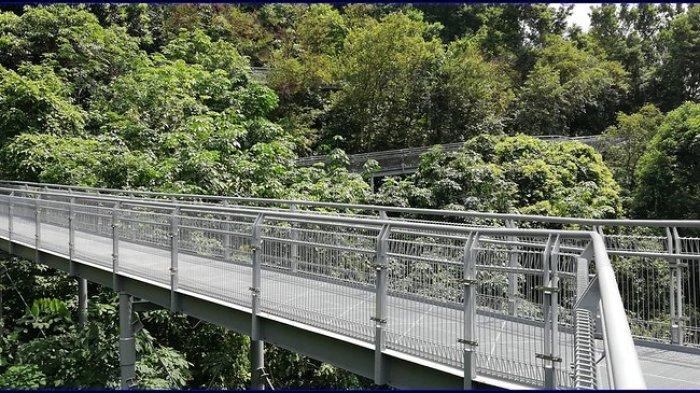 Southern Ridges, satu tempat wisata gratis di Singapura