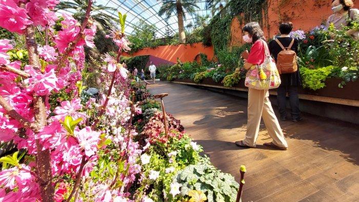 Suasana di Flower Dome Singapura