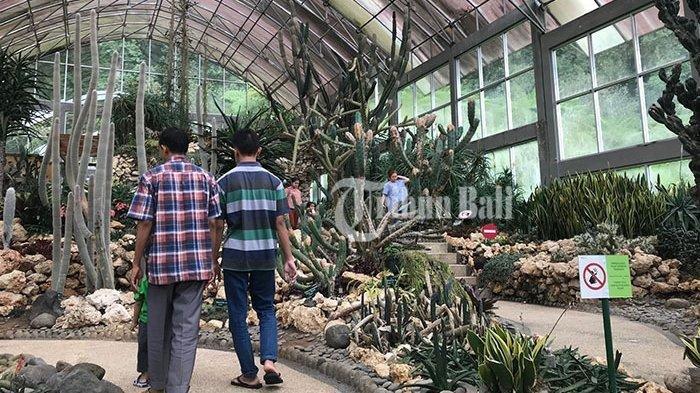 Koleksi 2.500 Tanaman, Kebun Raya Bedugul Tahun Ini Akan Kembangkan Taman Panca Yadnya