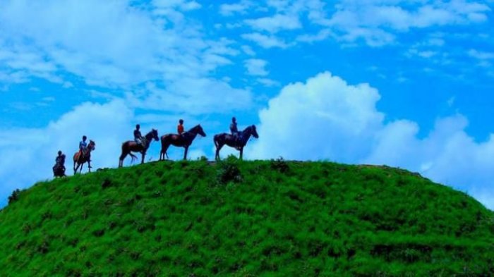 Siap Digelar Bulan Mei 2017, Parade 1.001 Kuda di Sumba Akan Dilaksanakan di 4 Kabupaten Ini