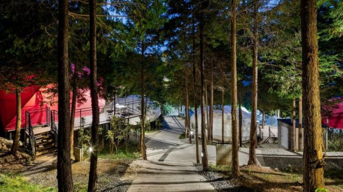 Kemping Mewah di Perkemahan Suncheon, Tarif Per Malamnya Mulai Rp 2,1 Juta