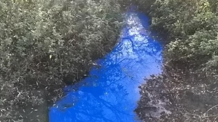 Berubah Warna Jadi Biru dan Hijau Terang, Misteri Sungai di Cambridgeshire Akhirnya Terungkap
