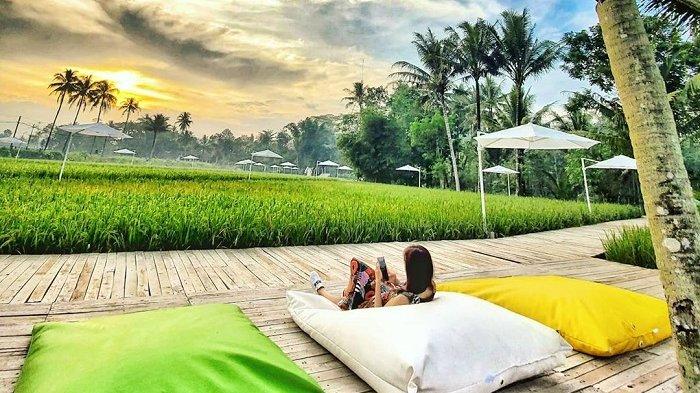 Ada 22 Spot Foto Instagramable di Svargabumi Magelang, Berlatar Sawah hingga Candi Borobudur