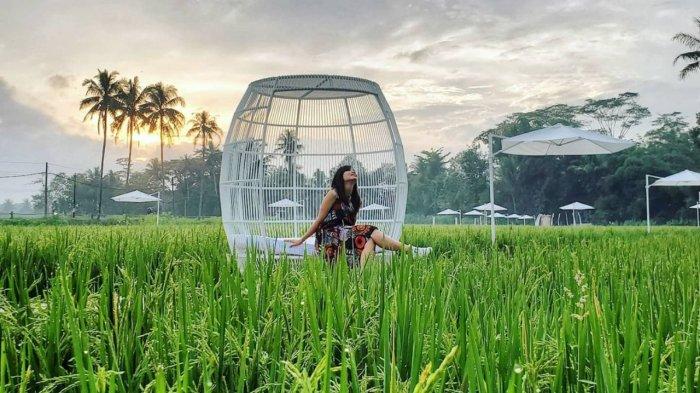 Harga Tiket Masuk Svargabumi Borobudur November 2021, Wisata Magelang Bertabur Spot Foto Instagenic