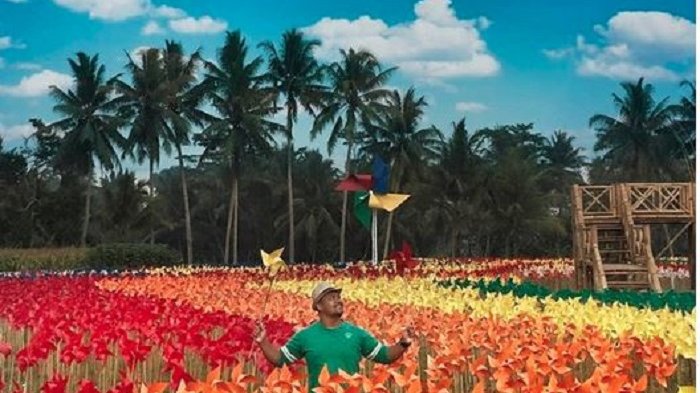 Mulai 13 Oktober, Taman Dewari Magelang Berubah Wajah dari Bunga Matahari Jadi Taman Kincir Angin