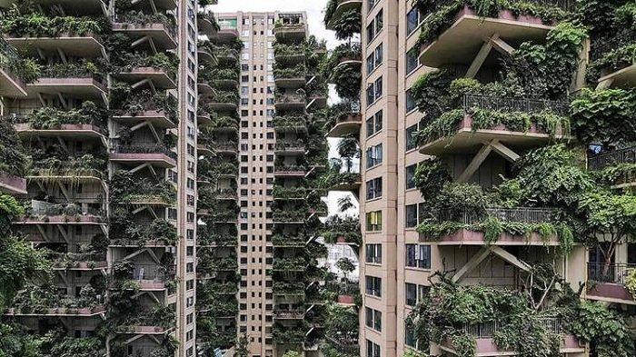 Hutan Vertikal di Tengah Perumahan Susun di China Kini Berubah jadi Sarang Nyamuk