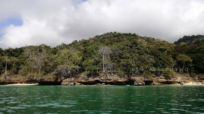 Taman Nasional Alas Purwo di Banyuwangi, Jawa Timur