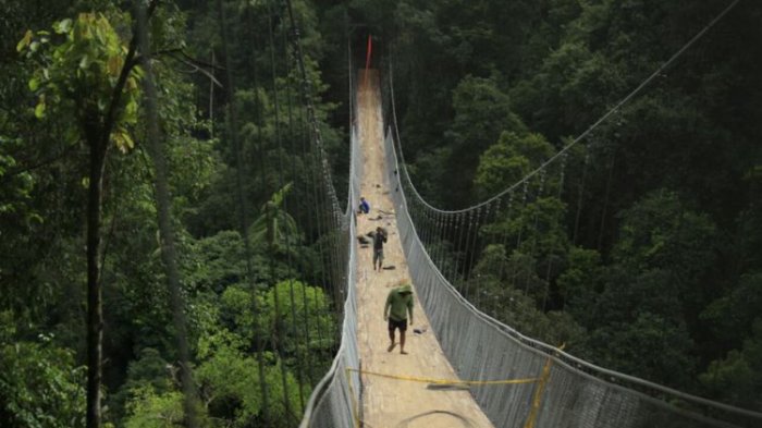 Panjangnya hingga 240 Meter, Jembatan Gantung di Sukabumi Disebut Jembatan Terpanjang di Indonesia