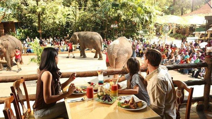 Taman Safari Indonesia, Bogor