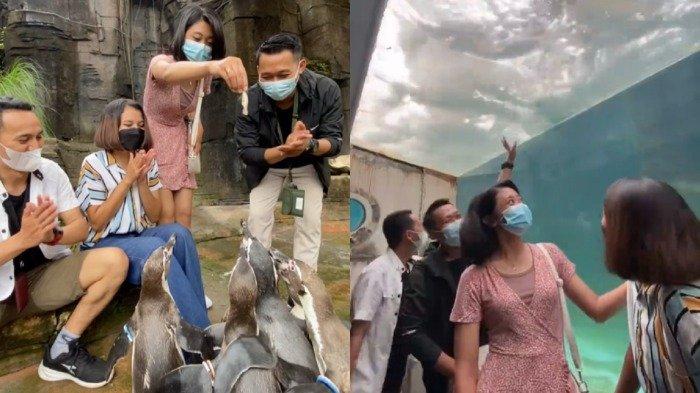 8 Wahana dan Atraksi di Taman Safari Prigen, Bisa Sentuh dan Beri Makan Satwa Langsung