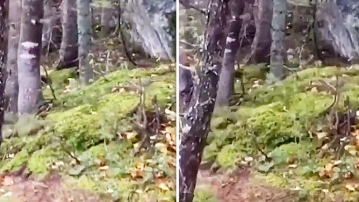 Viral Video - Ada Tanah 'Bernapas' yang Muncul di Kanada, Begini Penjelasan Ilmiahnya