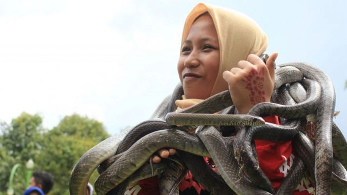 Ngaku Pemberani, Coba Uji Nyali di Wahana Tangkap Ular Sanggaluri Park, Purbalingga