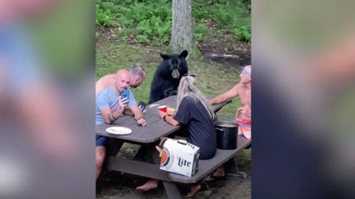 Sebuah Video Beruang Liar Ikut Piknik Keluarga Viral di Medsos