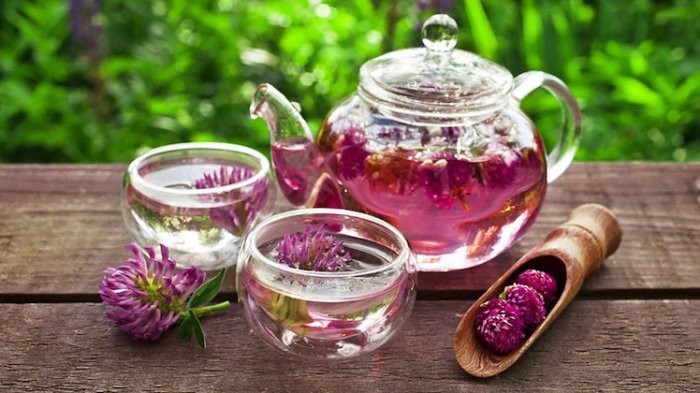 Teh Herbal dan 4 Minuman Pencegah Asam Lambung yang Aman Diminum saat Sahur dan Buka Puasa