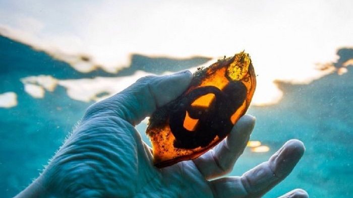 8 Pemandangan Langka yang Jarang Dilihat Manusia, Jalan ke Surga dan Telur Hiu Bikin Melongo