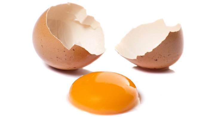 Fakata Makanan - Mudah Dipraktikkan! Begini Cara Kenali Telur Segar atau Busuk