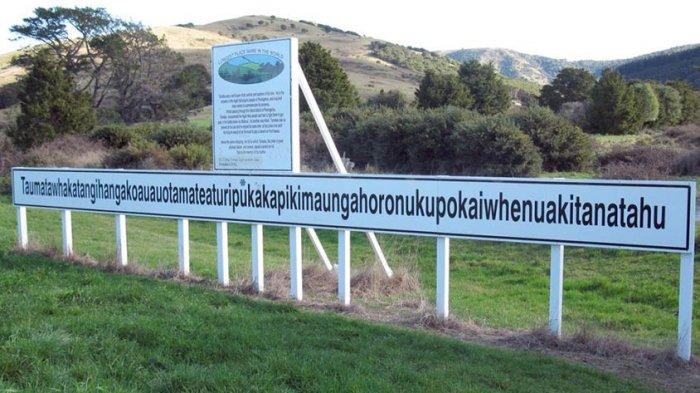 8 Fakta Unik Selandia Baru, Negara yang Lebih Banyak Dihuni Binatang daripada Manusia